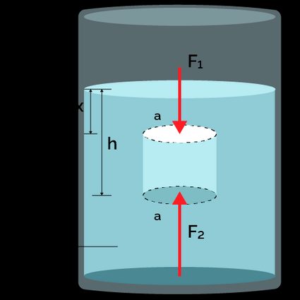 Vertical forces on an object immersed in a fluid.