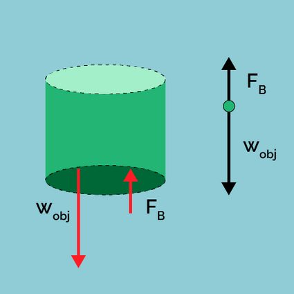 Weight and buoyant force experienced by an object immersed in a fluid.