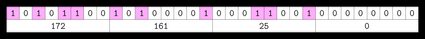 A bit diagram of an IP address.