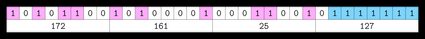 A bit diagram of an IP address.