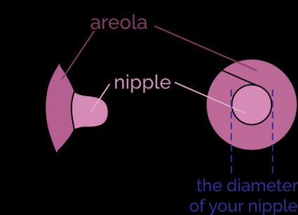 Nipple Ruler Flange Sizing Measurement Tool – Healthy Horizons  Breastfeeding Centers, Inc.