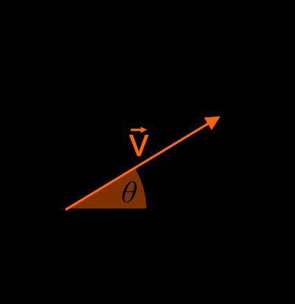 Vettore unitario bidimensionale.