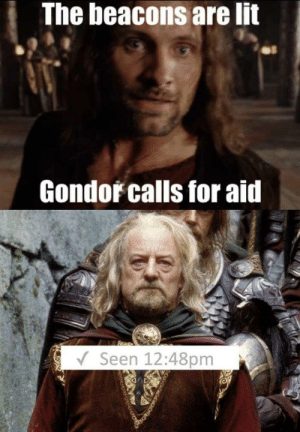 Aragorn saying that Gondor calls for aid.