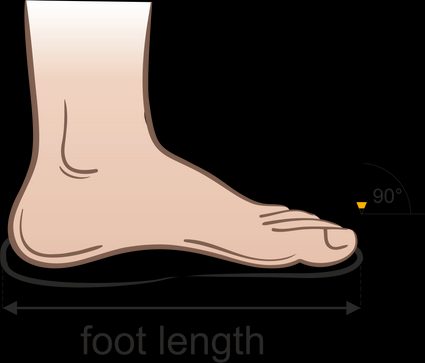 Measuring foot length.
