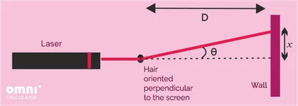 diagram of the experiment