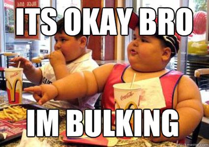 Meme about bulking from http://www.quickmeme.com/meme/3phm1h