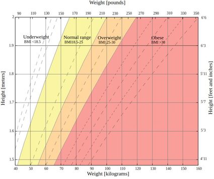 Grafico che mostra gli intervalli di BMI per le donne.