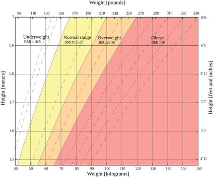 Gráfico mostrando as faixas de IMC para mulheres