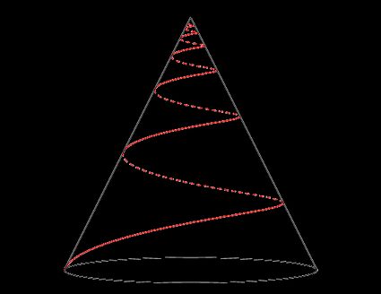 Conical helix on the circular cone.