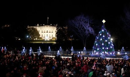 A Christmas in the middle of the city.