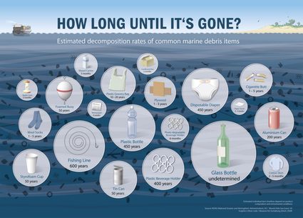 Plastic waste decomposition times