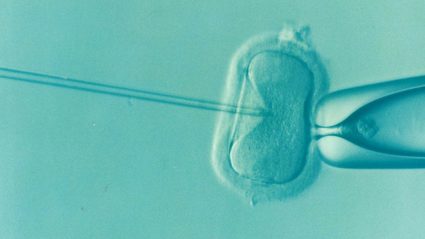Procedimento de fertilização in vitro