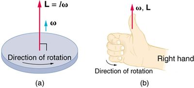 The right-hand rule for direction of angular momentum