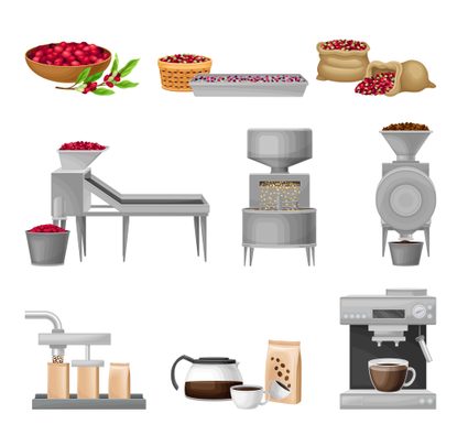 Picture showing the production steps of coffee, from cultivation to single serving.