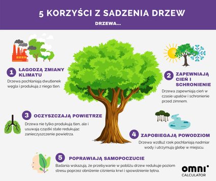 Korzyści z drzew - infografika