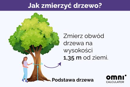 Jak zmierzyć drzewo? Infografika