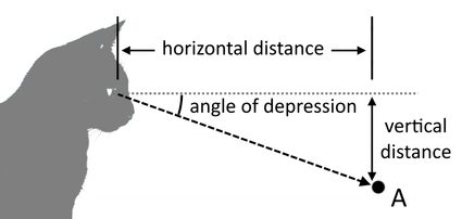 Ilustração que mostra a distância horizontal entre o observador e um objeto, bem como a vertical entre o objeto e os olhos do observador.