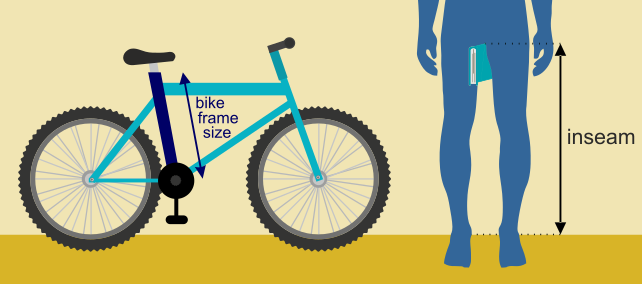 mountain bike size for height