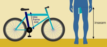bike size for adults