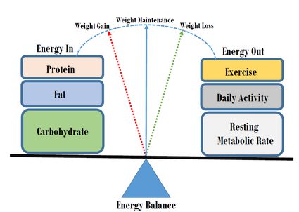 Grafico del bilancio energetico.