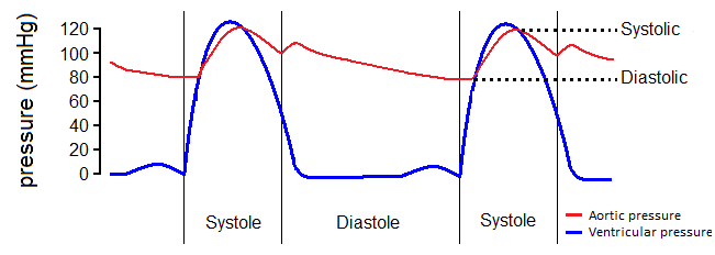 Systolic Diastolic Blood Pressure Chart