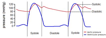 Gráfico da pressão arterial, mostrando as fases de sístole e diástole.
