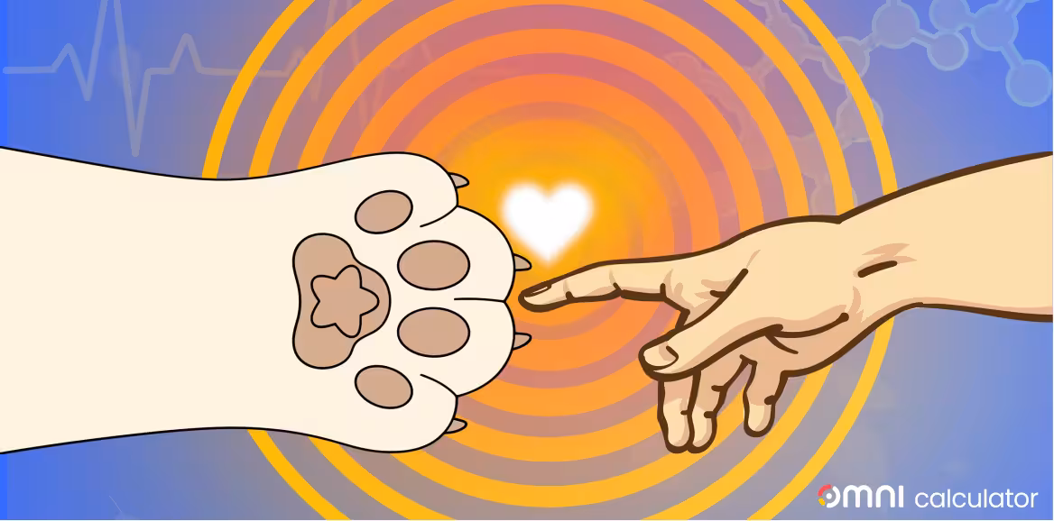 Human hand and dog paw touching with a glowing heart.