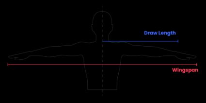 Draw length and wingspan.