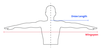 Draw length and wingspan.