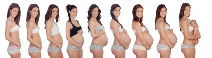 Wie lange dauert die Schwangerschaft – Körperveränderungen in den Trimestern