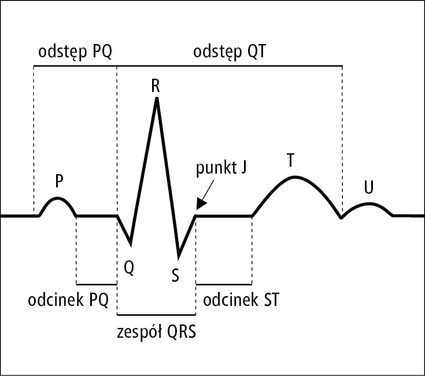 Schemat fragmentu normalnego zapisu EKG z oznaczonymi załamkami, zespołem QRS, odstępami i odcinkami.