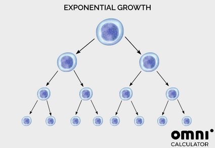 Crescimento exponencial das células. Cada célula se divide em duas.