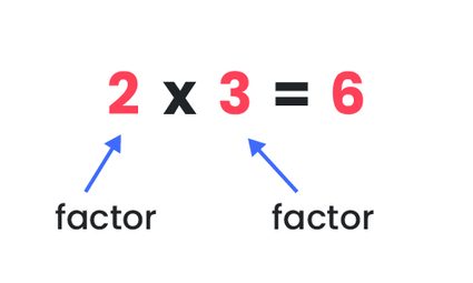 Explanation of the term factor.