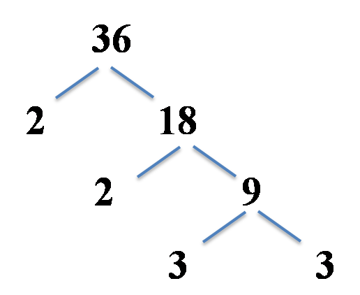 Prime Factor Tree For 132