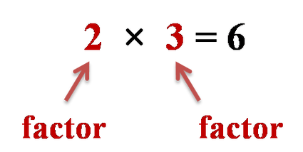 Factor Calculator: Find All Positive Factors