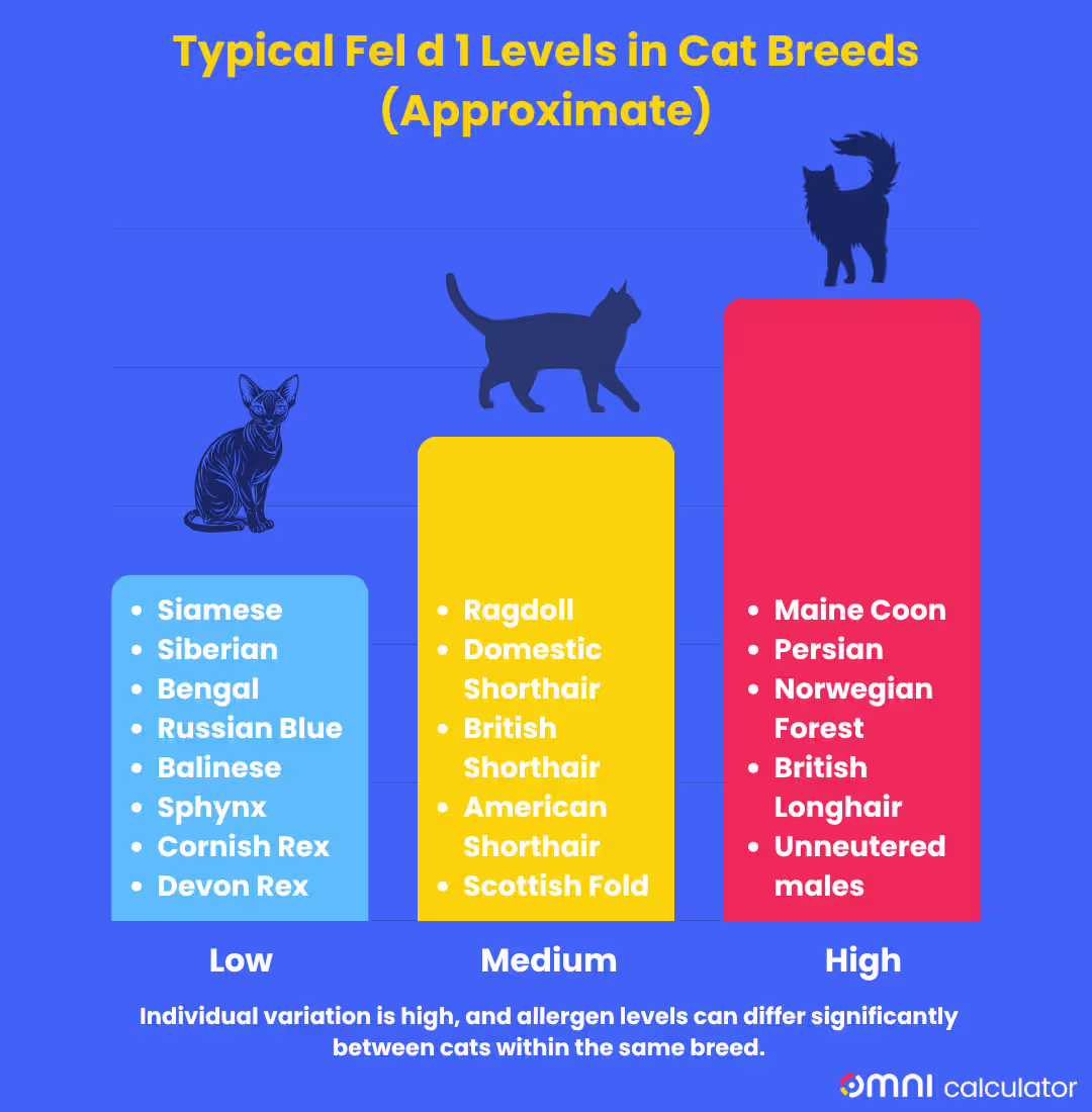 Fel d 1 protein levels by cat breed.
