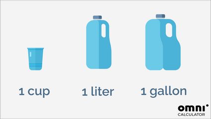 A comparison of 1 cup, 1 liter, and 1 gallon