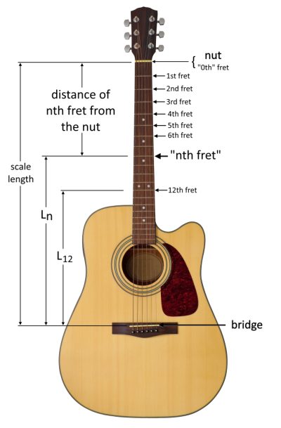 An illustration of a guitar showing scale length, the placements of frets, and the general placement of Lₙ.