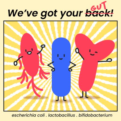 A graphic poster displaying your gut bacteria with a slogan 'We got your gut!'.