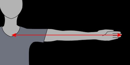 Image showing how to measure demi-span (or semi-span or half-arm span).