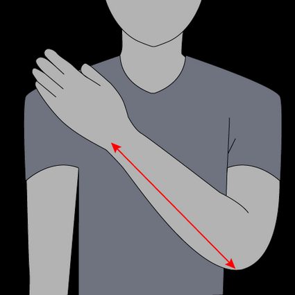 Image showing how to measure forearm length.
