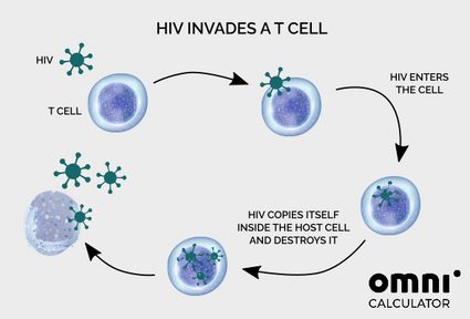 image showing how HIV virus attacks an immune system cell