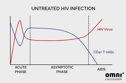 a chart showing how HIV virus and CD4+ lymphocytes vary over time if HIV infection is untreated