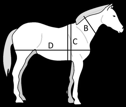 The measurements needed to calculate horse weight.