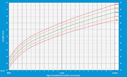 Height/length chart for boys 0-2 years old according to WHO Child Growth Standards