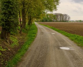 Dirt road with a pothole