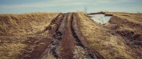 Dirt road with ruts