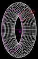 The picture of a torus