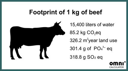 Footprint of 1kg of beef. 15400 liters of water, 85.2 kg CO2eq, 326,2 m2 year land use, 301.4g  of PO4 3-, 318.8g SO2 eq.