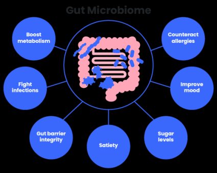 Impact of the gut microbiome on health